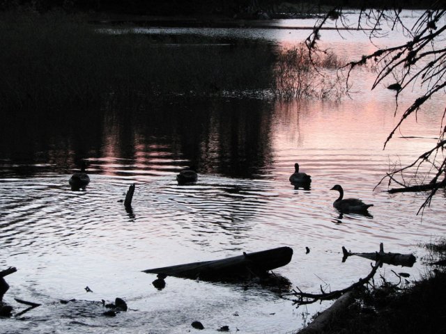 Manzanita Lake